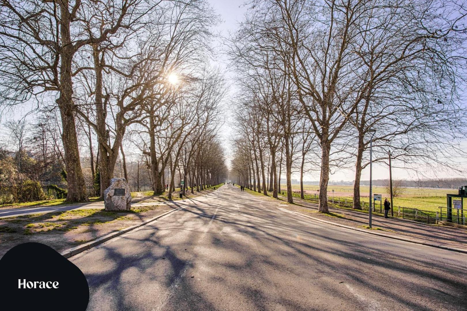 La Mome — Parking, Quartier Historique & Anime Apartment *